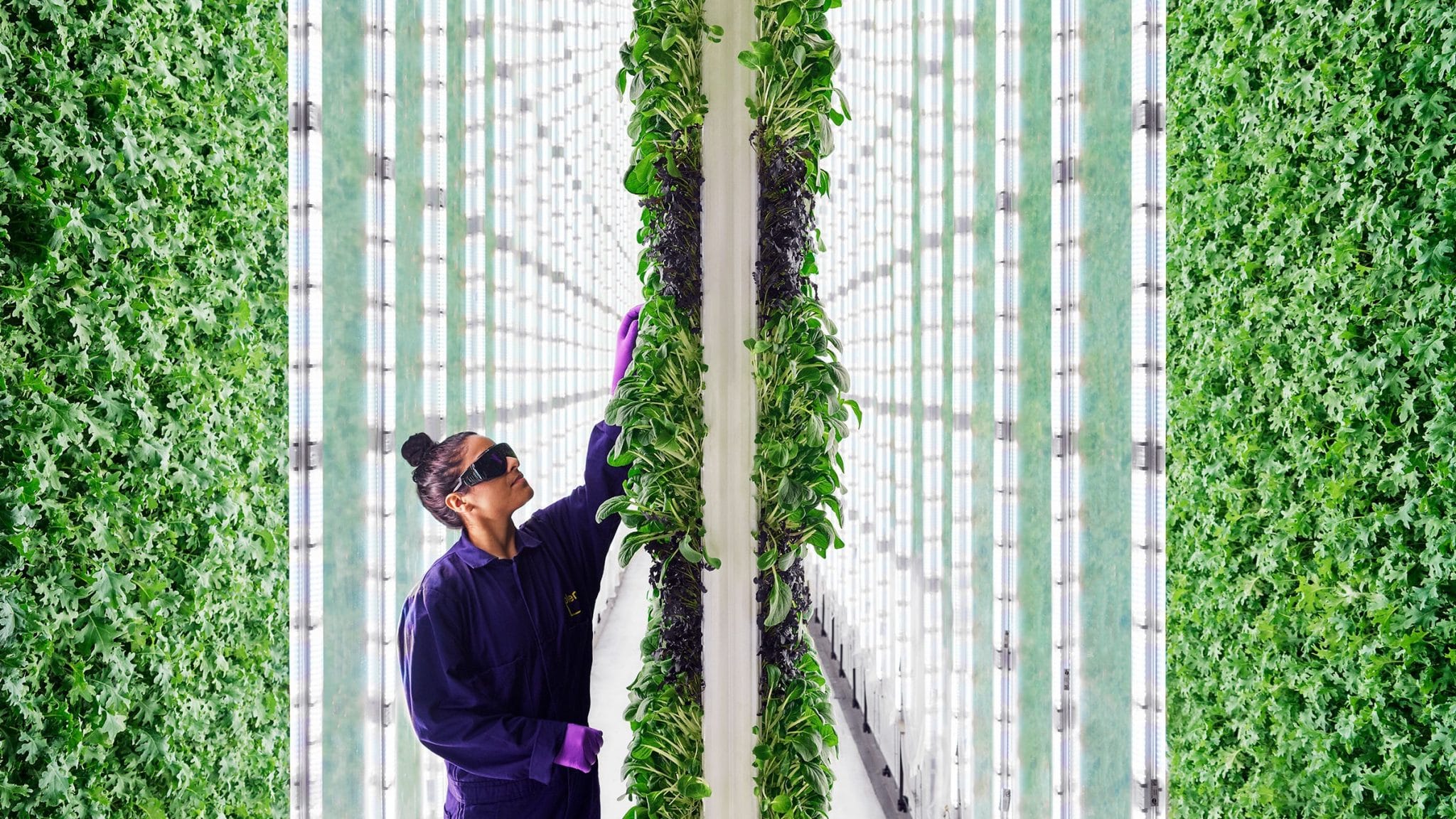 vertical farming