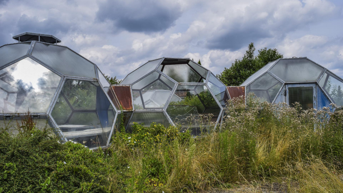 transparent solar panels for greenhouses