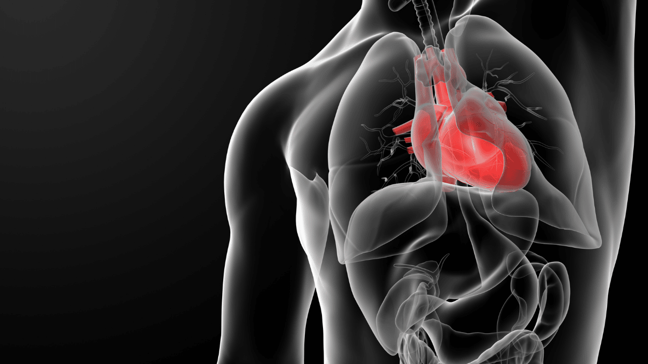 lab-grown-artificial-heart