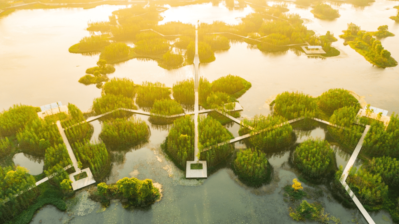 natural-stormwater-regulator