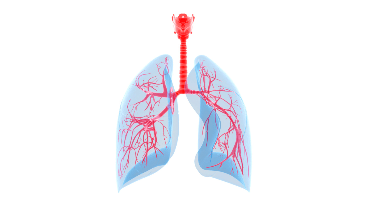 lung-cancer-risk-detector