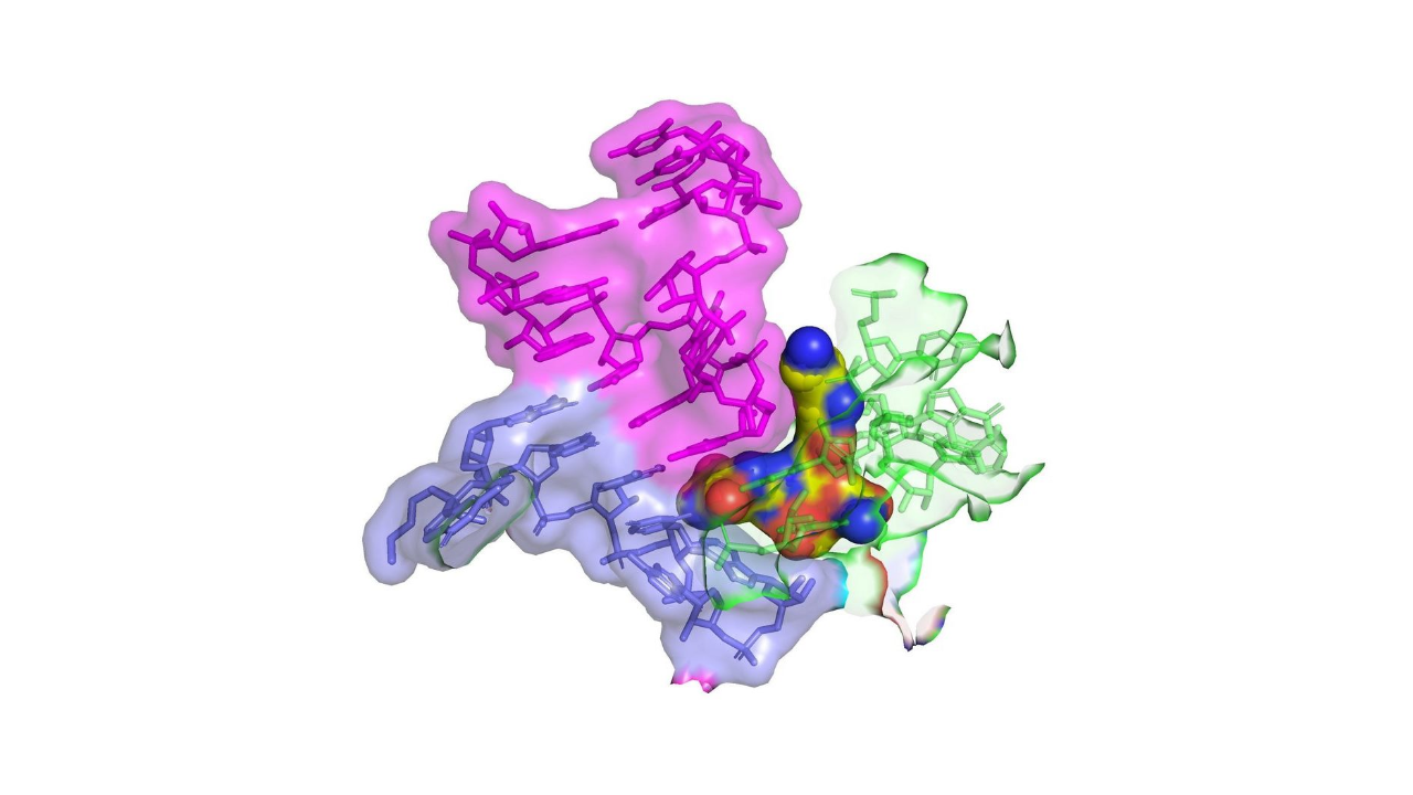 80-year-old-antibiotic